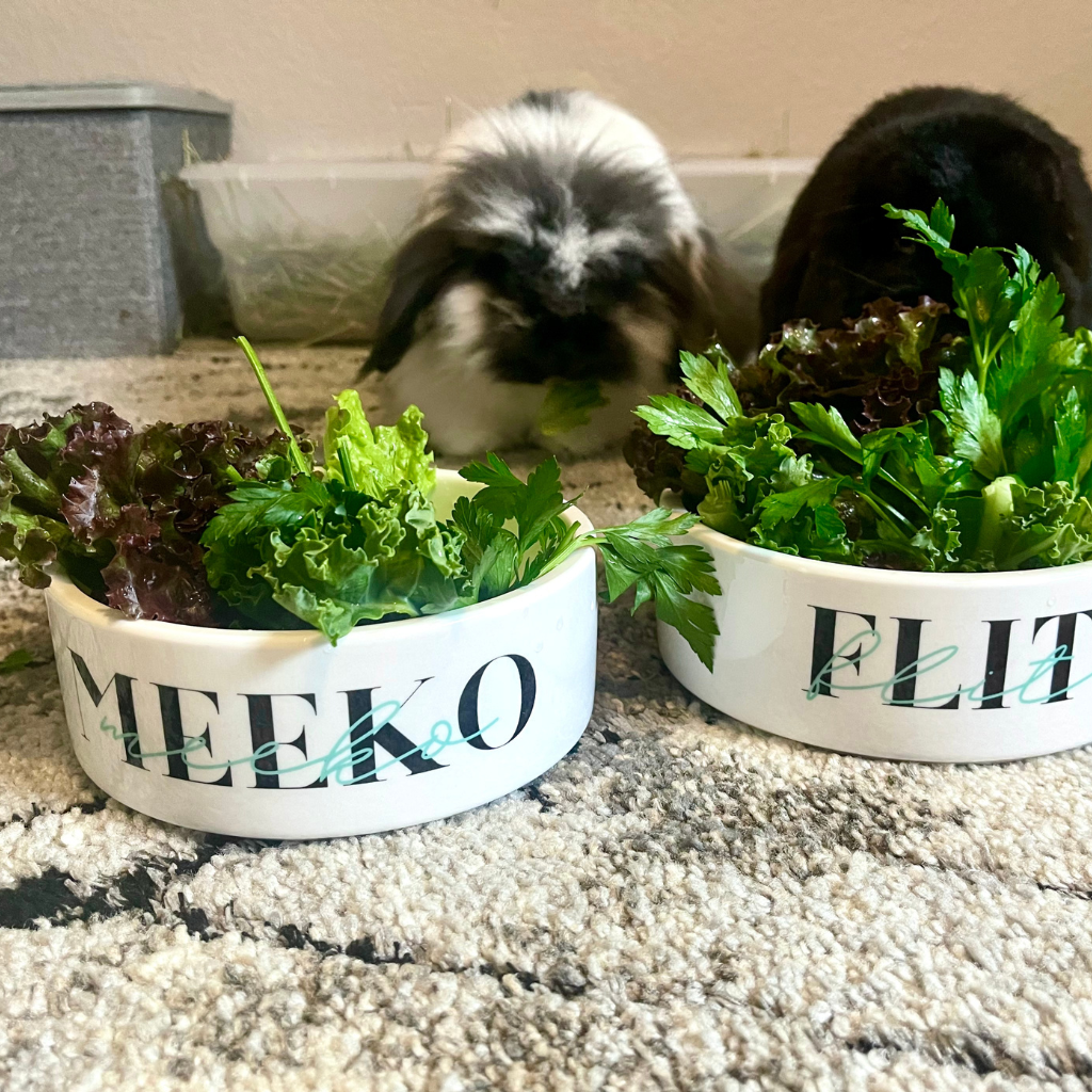 Personalized Bunny Bowls Lil' Bun's Boutique