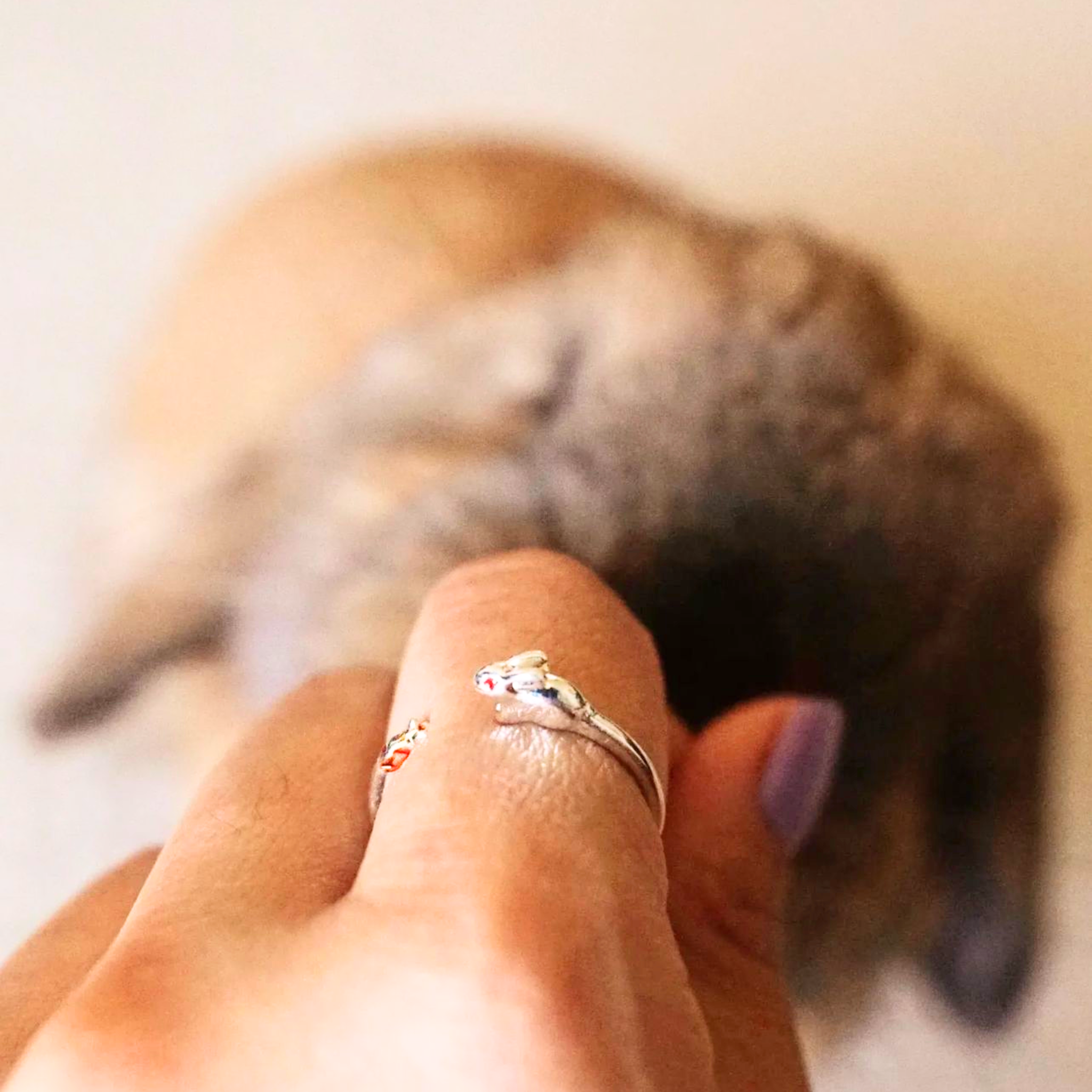 The Rabbit Chase Ring