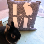 Load image into Gallery viewer, Rabbit LOVE Pillow

