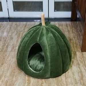 Pumpkin Bunny Burrow