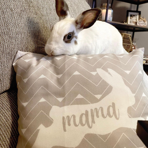 Boho Bunny Mama Pillow