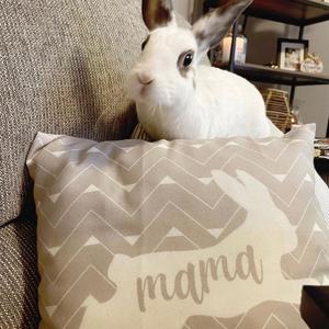 Boho Bunny Mama Pillow