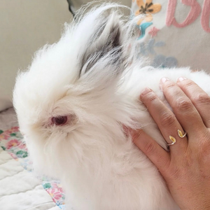 Bunny Ears Ring