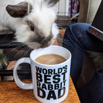 Load image into Gallery viewer, The Office World&#39;s Best Rabbit Dad Mug
