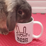 Load image into Gallery viewer, Hers Bunny Nerd White Mug
