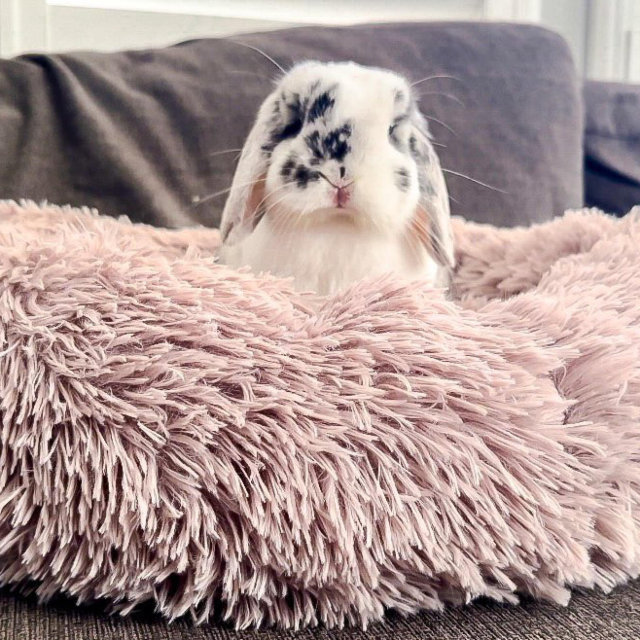 Round Plush Bunny Bed