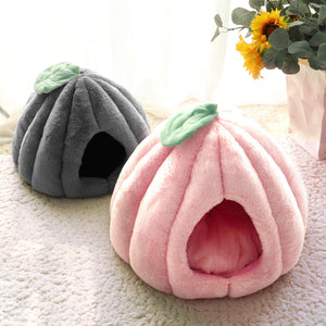 Pumpkin Bunny Burrow