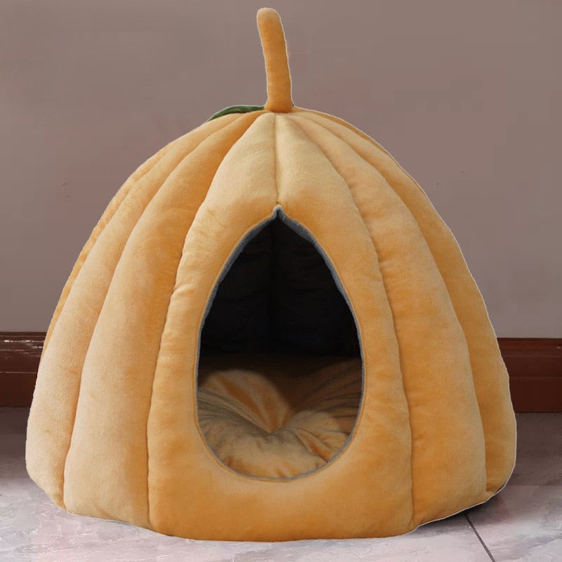 Pumpkin Bunny Burrow