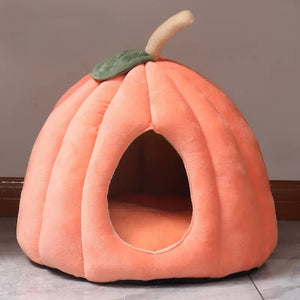 Pumpkin Bunny Burrow