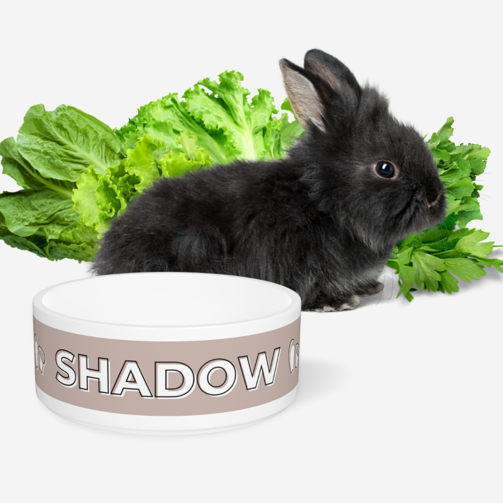 Bold Shadow Personalized Bunny Bowl