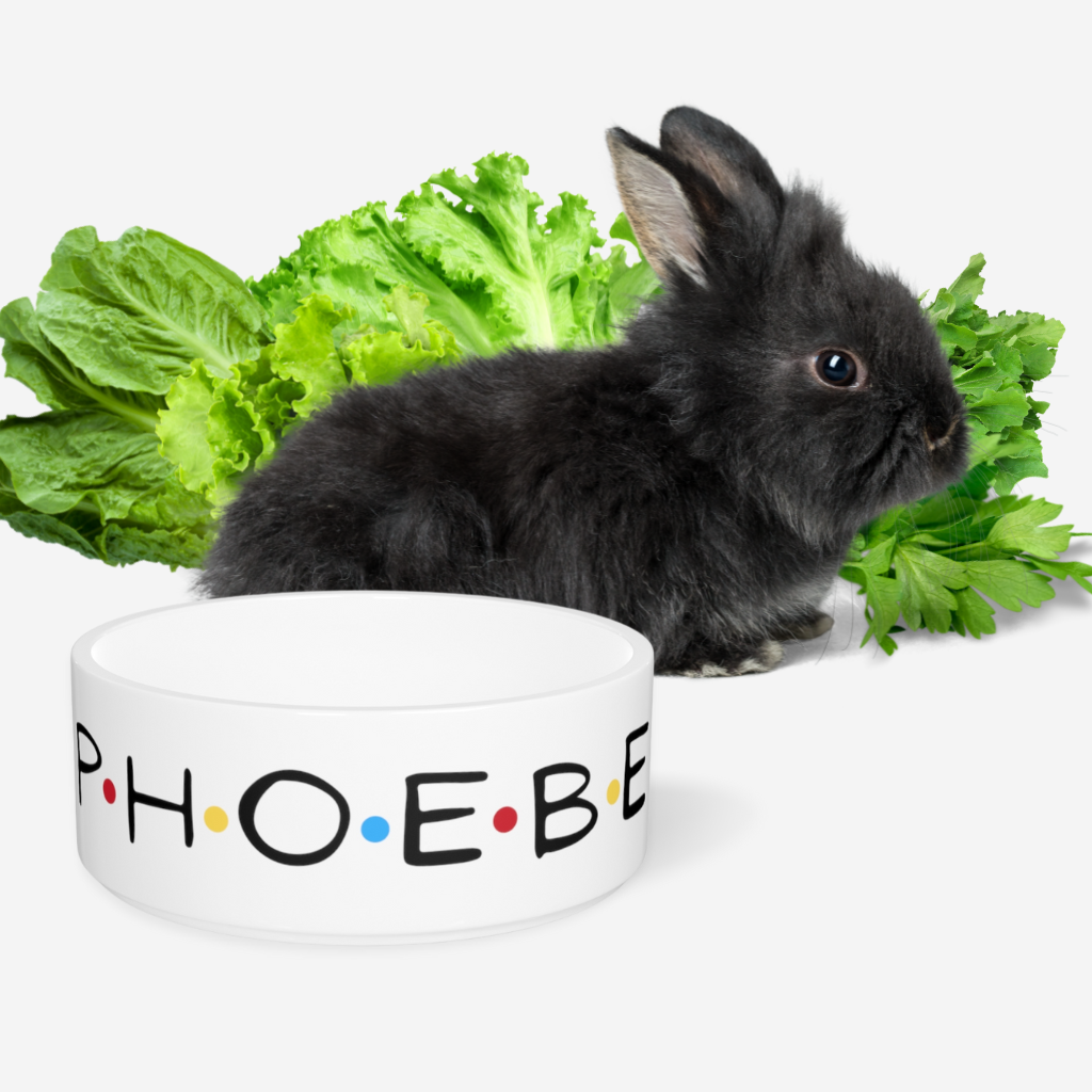 Friendly Personalized Bunny Bowl