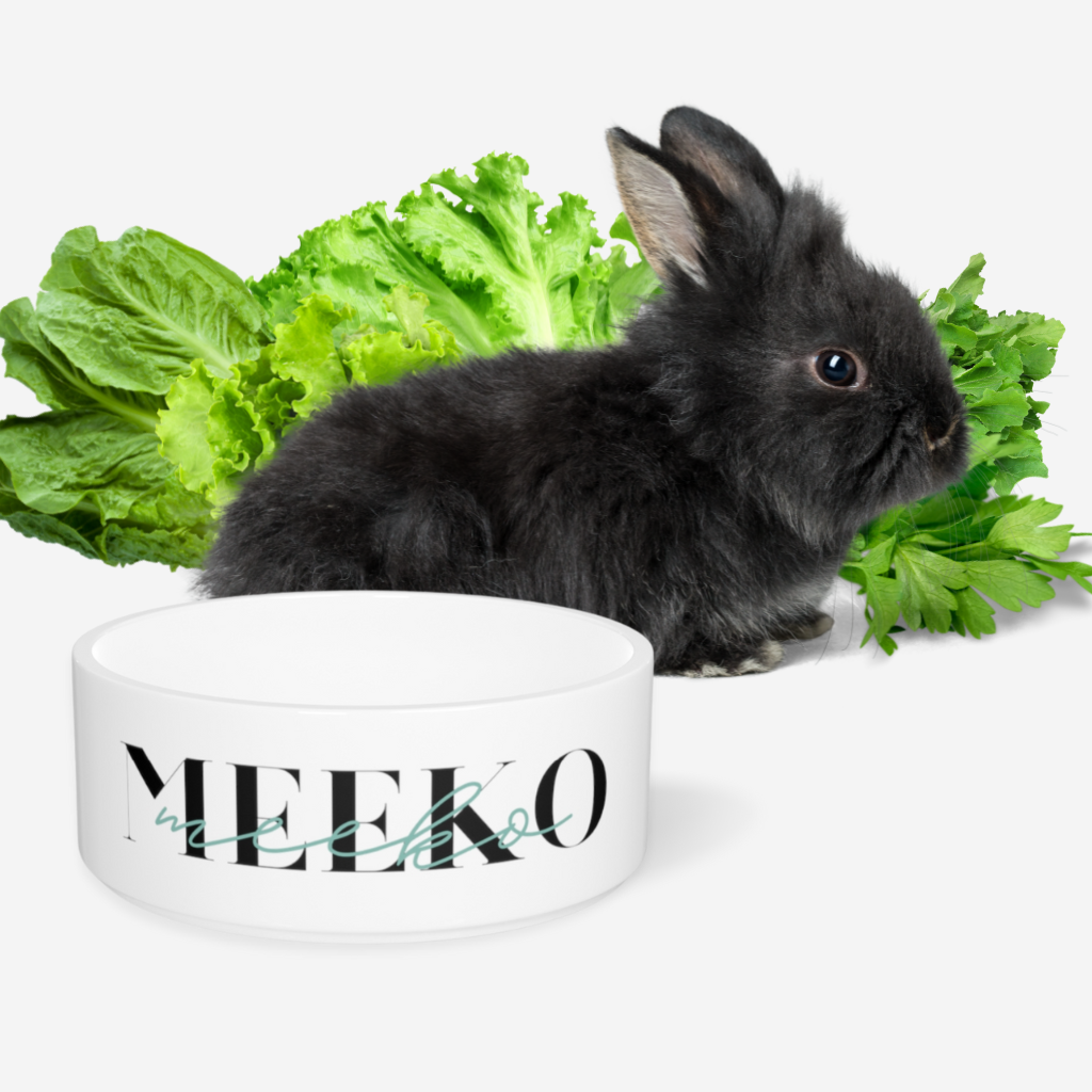Minimal Chic Personalized Bunny Bowl