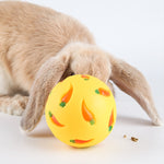 Load image into Gallery viewer, Carrot Treat Ball
