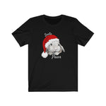 Load image into Gallery viewer, Santa Paws Bunny Tee
