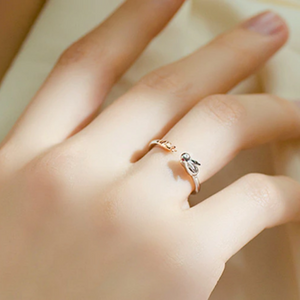 The Rabbit Chase Ring